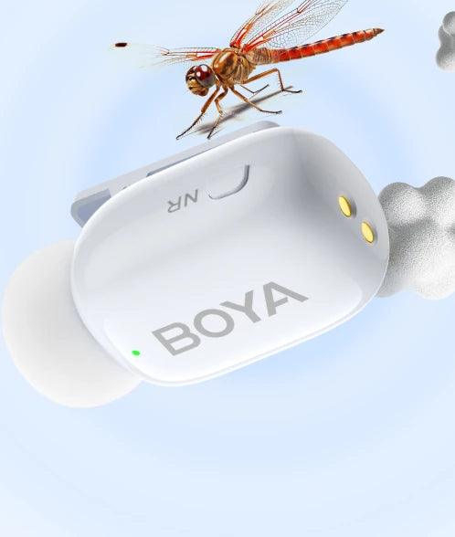 Boya Mini